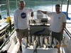 (08/11/2018) - Nice Striped Bass